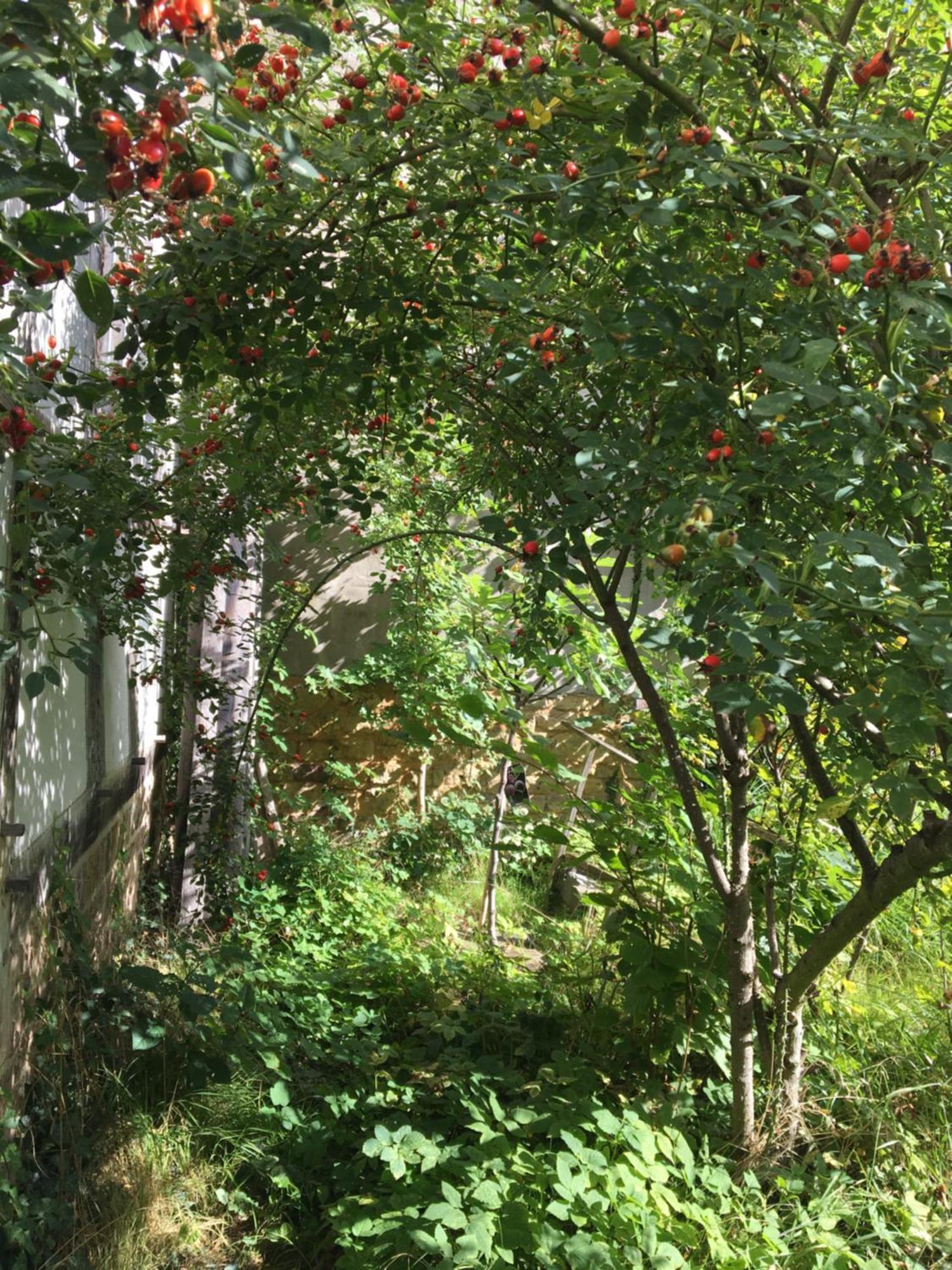 Cherrytree Cottage 1840 Heimbach Buitenkant foto