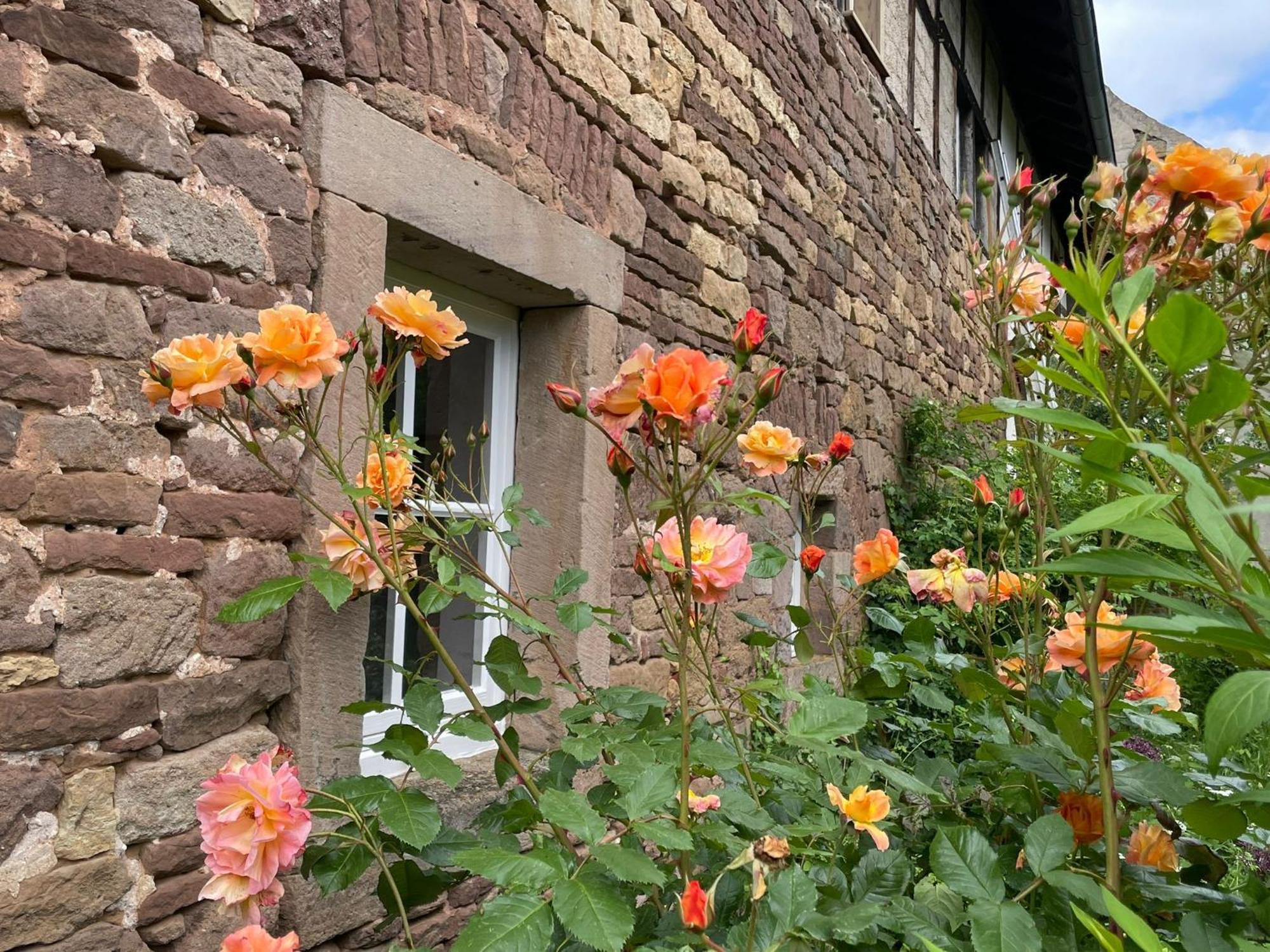 Cherrytree Cottage 1840 Heimbach Buitenkant foto