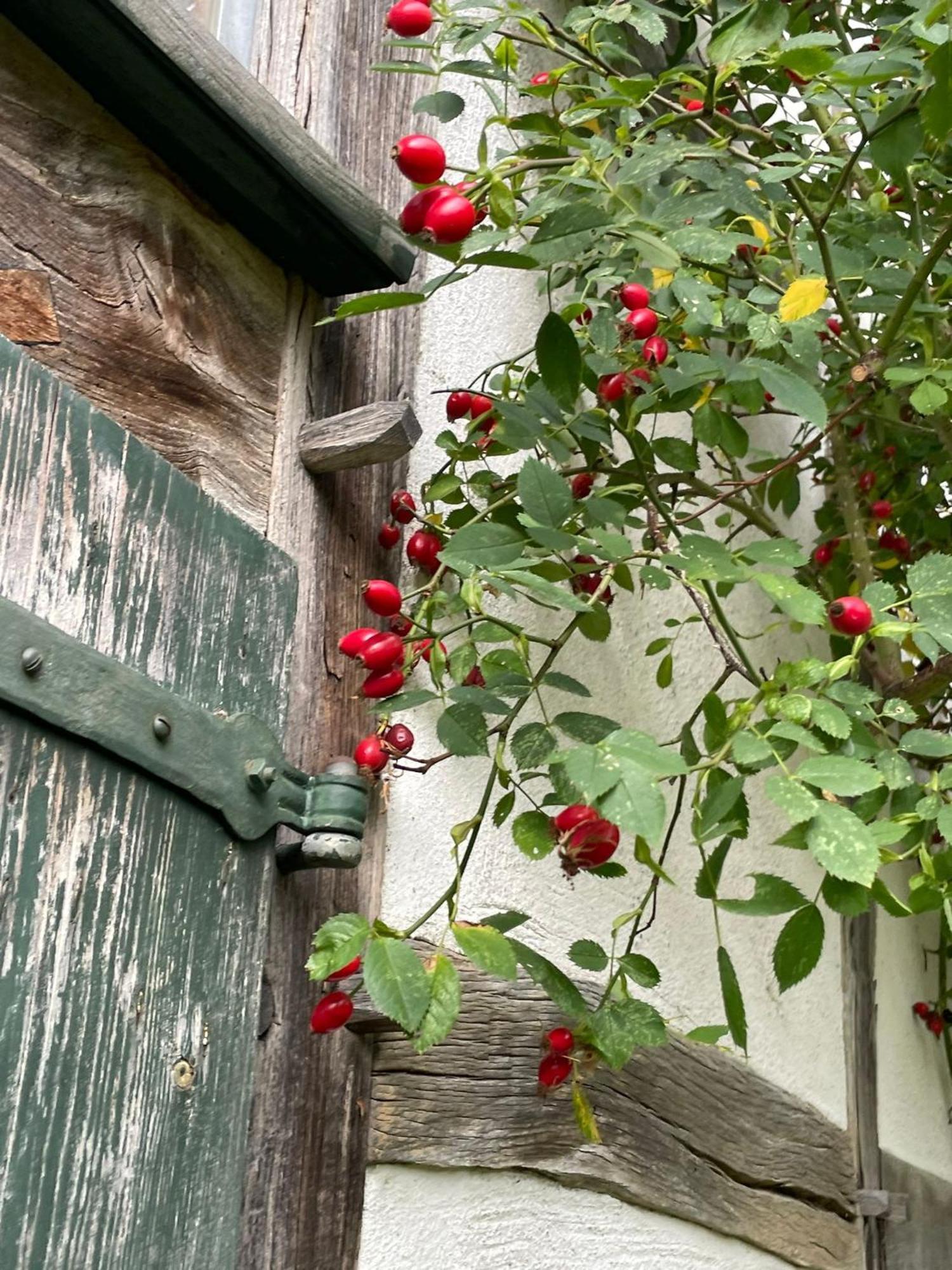 Cherrytree Cottage 1840 Heimbach Buitenkant foto